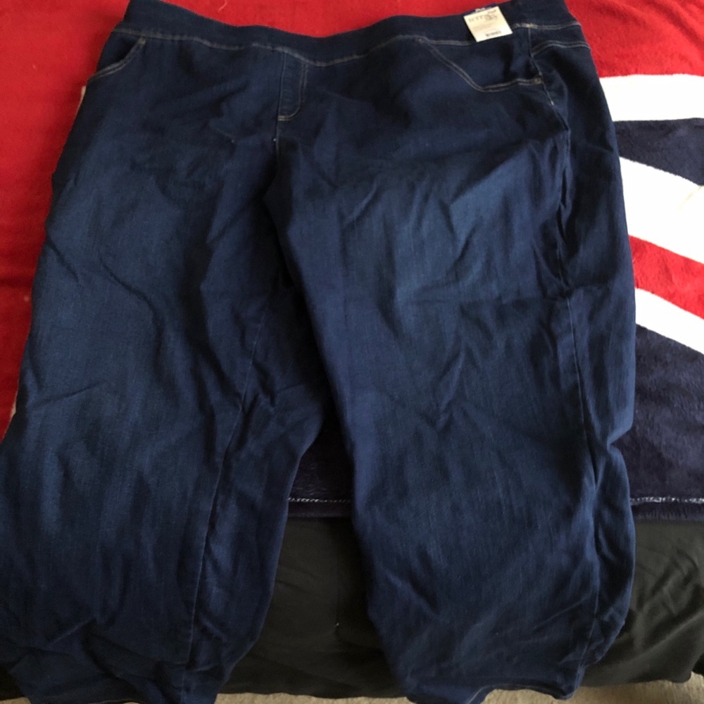 Terra & Sky Jeans Pull On NWT Blue Size 3X